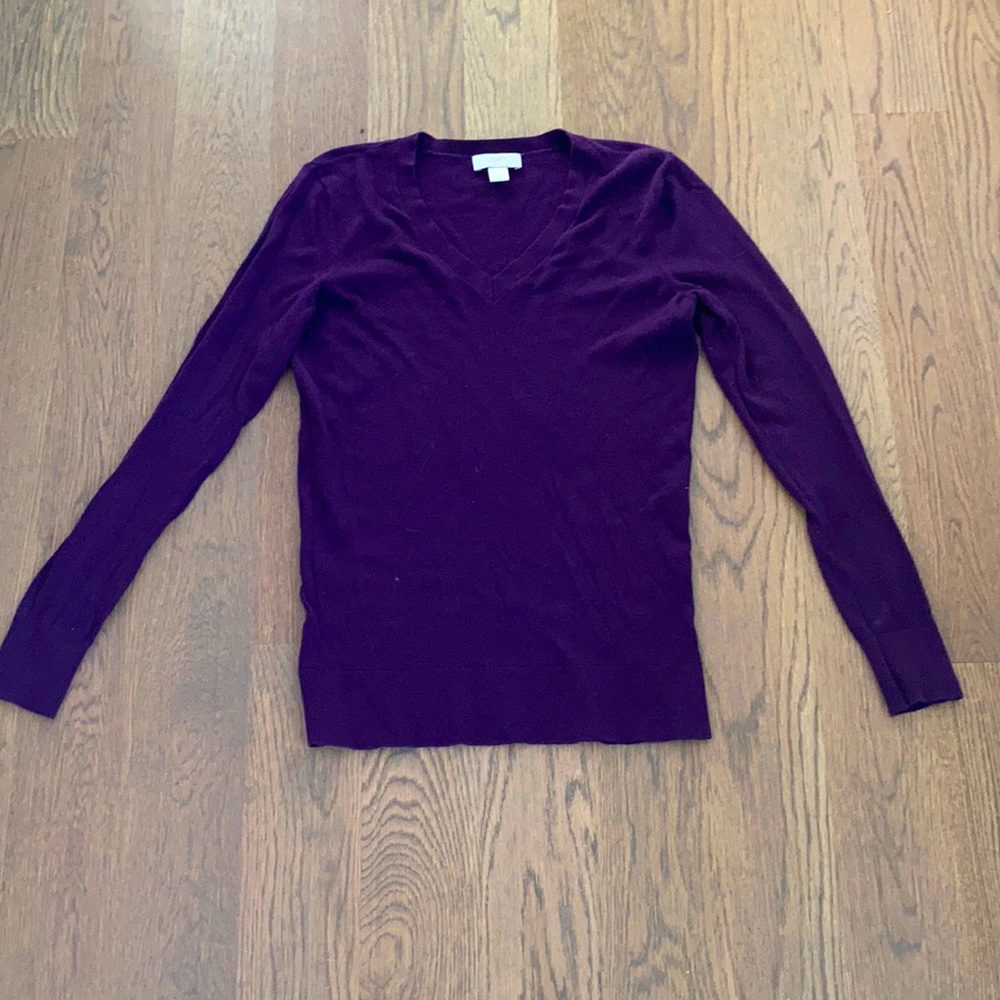 LOFT plum V-neck pullover sweater